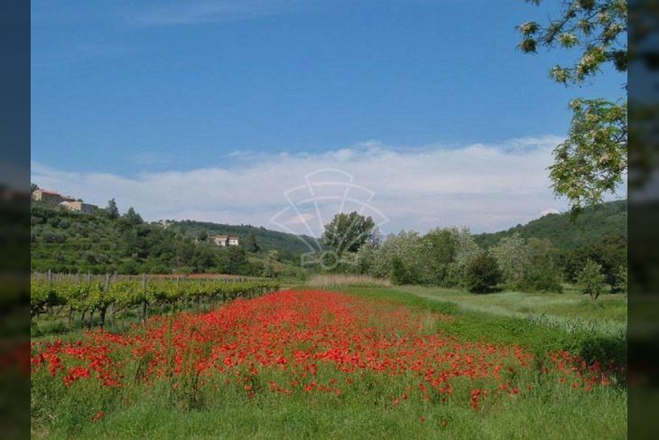 Kuća u nizu, Prodaja, Buje, Merišće Kuća u nizu, Prodaja, Buje, Merišće