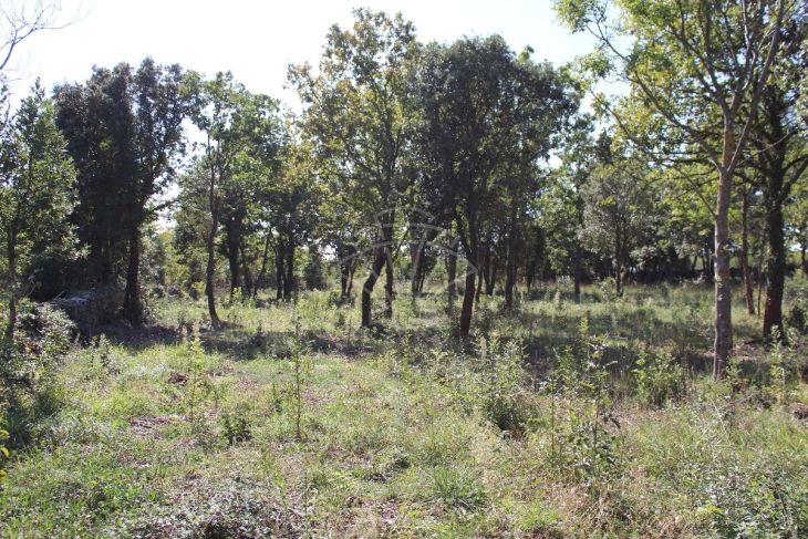 Građevinsko zemljište, Prodaja, Marčana, Rakalj Građevinsko zemljište, Prodaja, Marčana, Rakalj
