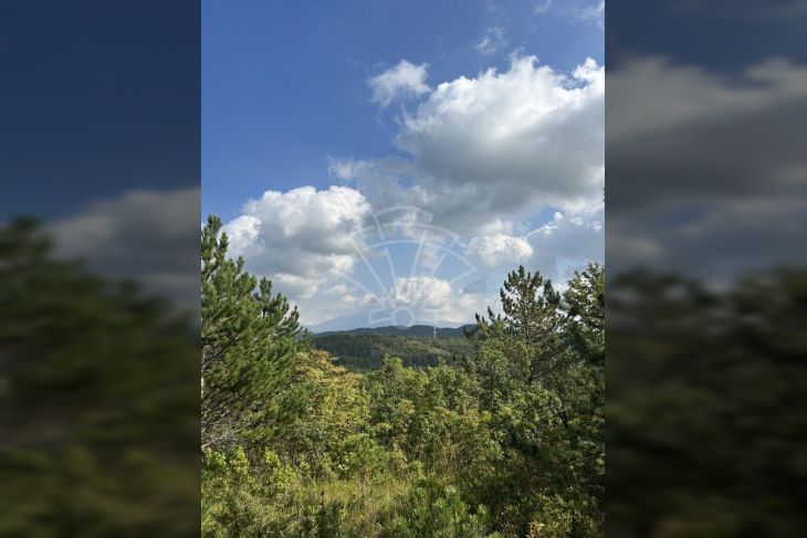 Poljoprivredno zemljište, Prodaja, Cerovlje, Cerovlje Poljoprivredno zemljište, Prodaja, Cerovlje, Cerovlje