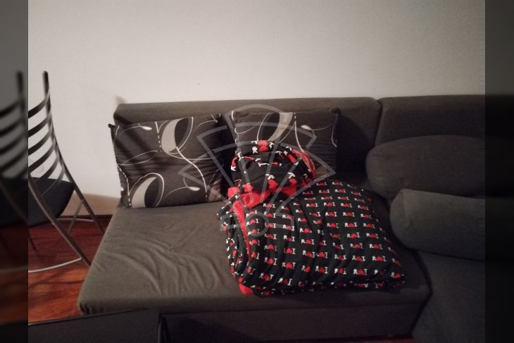 Stan u zgradi, Najam, Rijeka, Zapad Stan u zgradi, Najam, Rijeka, Zapad