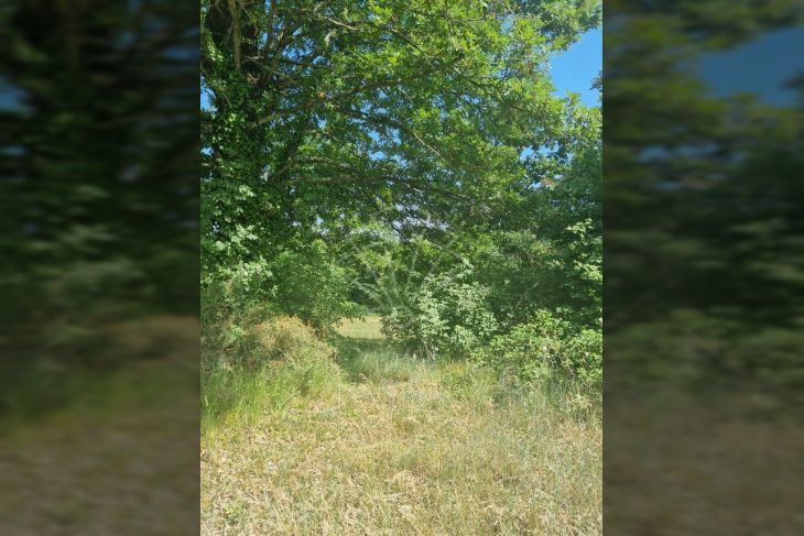 Građevinsko zemljište, Prodaja, Svetvinčenat, Režanci Građevinsko zemljište, Prodaja, Svetvinčenat, Režanci