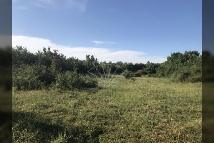 Građevinsko zemljište, Prodaja, Barban, Manjadvorci