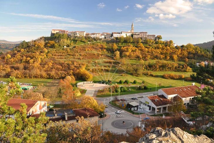 Poljoprivredno zemljište, Prodaja, Buzet, Sveti Martin