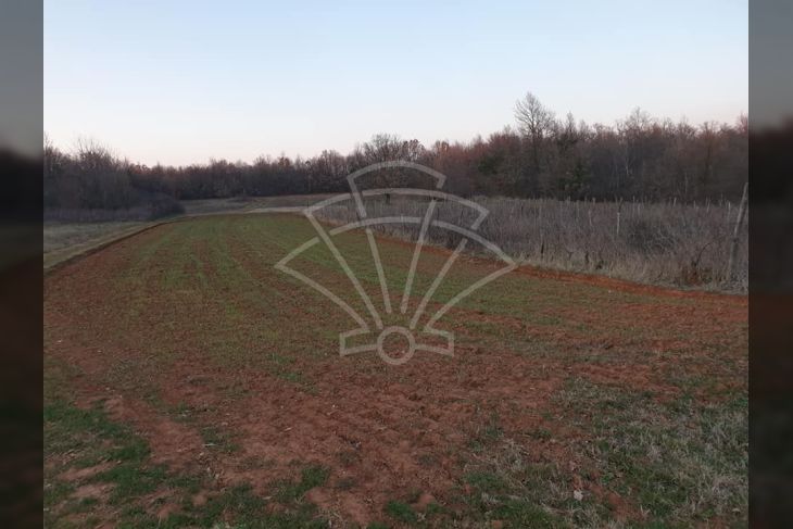 Poljoprivredno zemljište, Prodaja, Barban, Barban Poljoprivredno zemljište, Prodaja, Barban, Barban