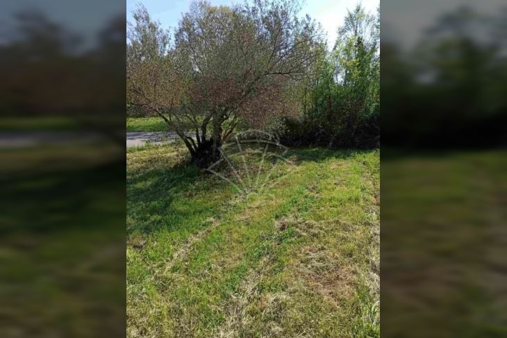 Građevinsko zemljište, Prodaja, Marčana, Pavićini