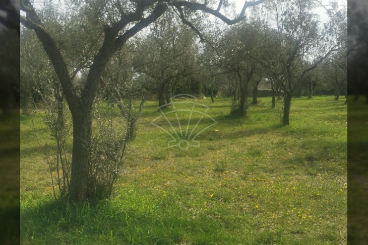 Poljoprivredno zemljište, Prodaja, Fažana, Fažana Poljoprivredno zemljište, Prodaja, Fažana, Fažana
