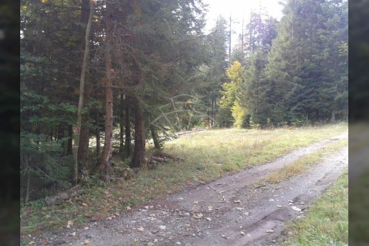 Poljoprivredno zemljište, Prodaja, Delnice, Lučice Poljoprivredno zemljište, Prodaja, Delnice, Lučice