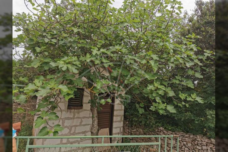 Građevinsko zemljište, Prodaja, Vodnjan, Peroj Građevinsko zemljište, Prodaja, Vodnjan, Peroj