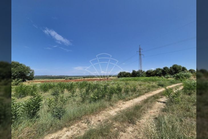 Građevinsko zemljište, Prodaja, Poreč, Poreč