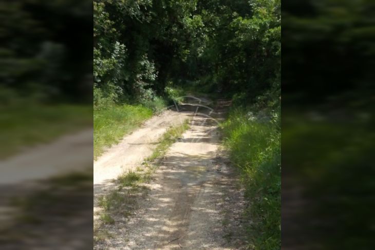 Poljoprivredno zemljište, Prodaja, Svetvinčenat, Štokovci Poljoprivredno zemljište, Prodaja, Svetvinčenat, Štokovci