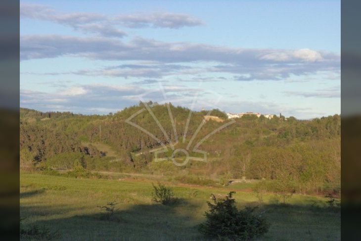 Poljoprivredno zemljište, Prodaja, Motovun, Motovun Poljoprivredno zemljište, Prodaja, Motovun, Motovun