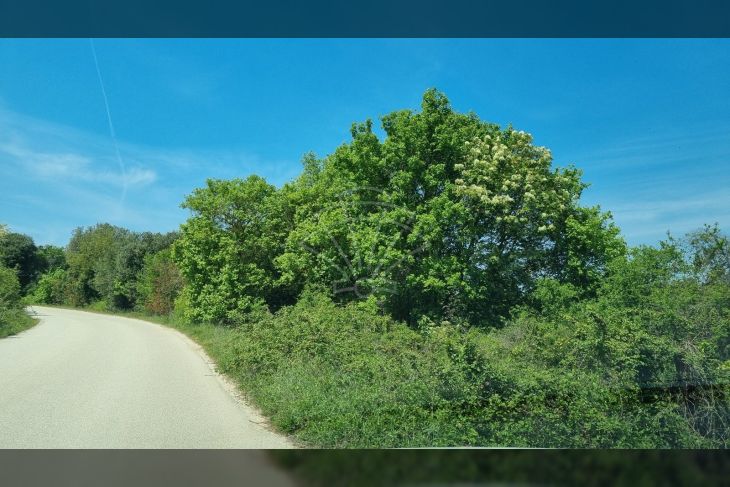 Građevinsko turističko, Prodaja, Pula, Pula Građevinsko turističko, Prodaja, Pula, Pula
