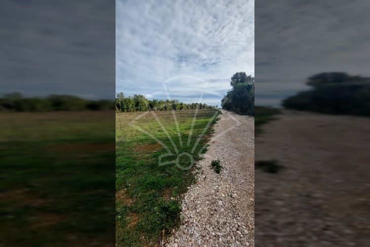 Poljoprivredno zemljište, Prodaja, Ližnjan, Šišan Poljoprivredno zemljište, Prodaja, Ližnjan, Šišan