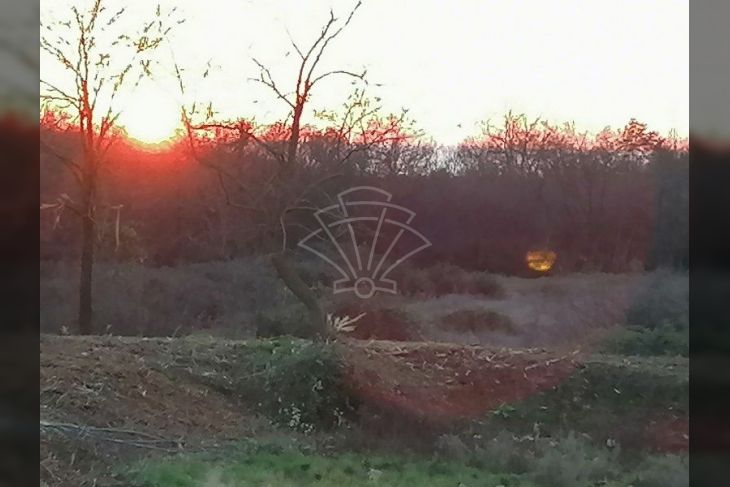 Građevinsko stambeno zemljište, Prodaja, Poreč, Poreč