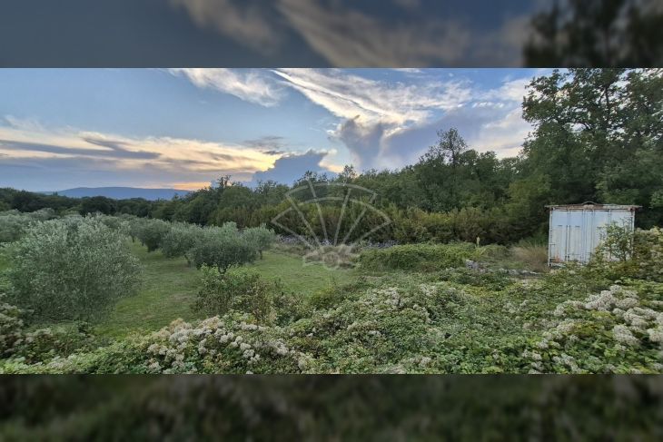 Poljoprivredno zemljište, Prodaja, Krk, Skrbčići