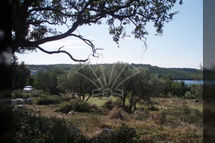 Poljoprivredno zemljište, Prodaja, Medulin, Banjole Poljoprivredno zemljište, Prodaja, Medulin, Banjole
