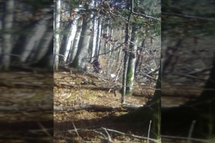 Poljoprivredno zemljište, Prodaja, Fužine, Fužine Poljoprivredno zemljište, Prodaja, Fužine, Fužine