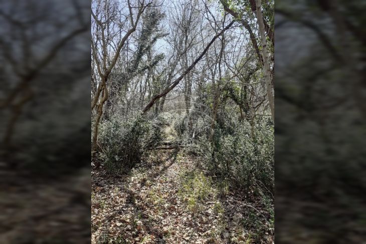 Poljoprivredno zemljište, Prodaja, Dobrinj, Šilo Poljoprivredno zemljište, Prodaja, Dobrinj, Šilo