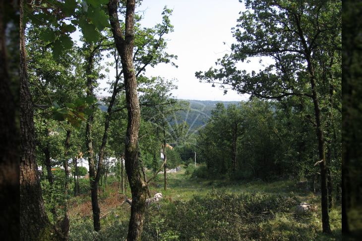 Građevinsko zemljište, Prodaja, Kastav, Brnčići