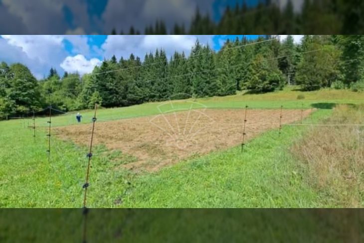 Poljoprivredno zemljište, Prodaja, Vrbovsko, Jablan Poljoprivredno zemljište, Prodaja, Vrbovsko, Jablan