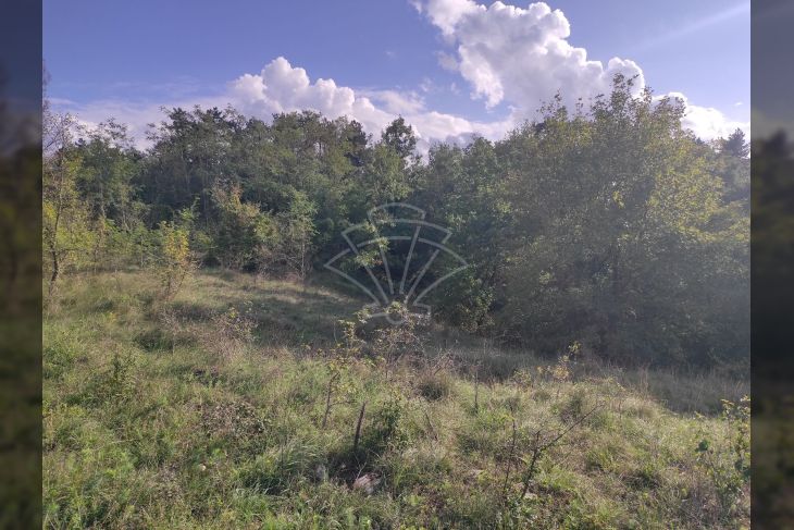 Građevinsko zemljište, Prodaja, Žminj, Žminj