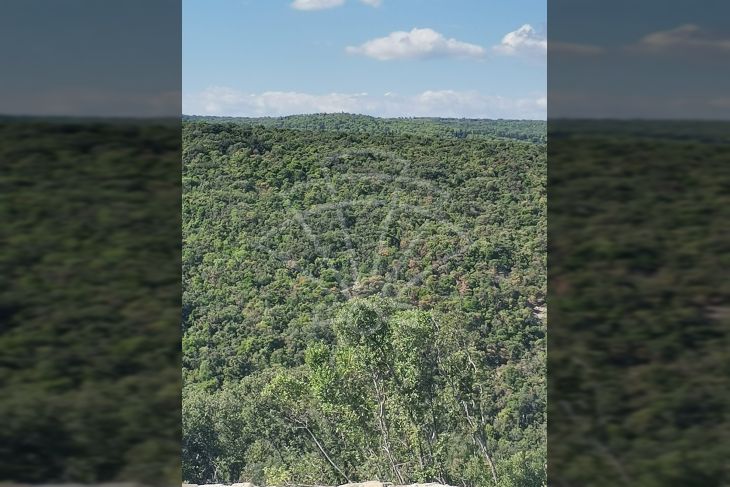 Poljoprivredno zemljište, Prodaja, Marčana, Krnica Poljoprivredno zemljište, Prodaja, Marčana, Krnica