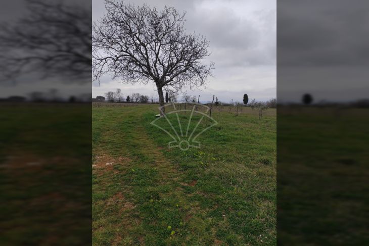 Poljoprivredno zemljište, Prodaja, Barban, Barban Poljoprivredno zemljište, Prodaja, Barban, Barban