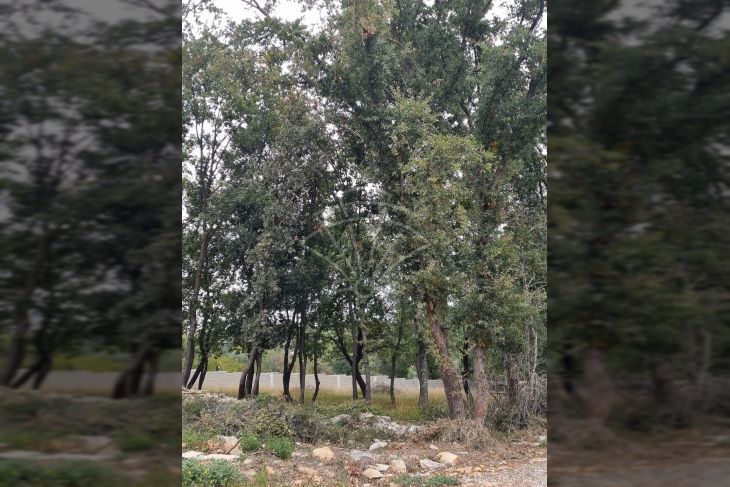 Građevinsko zemljište, Prodaja, Medulin, Medulin Građevinsko zemljište, Prodaja, Medulin, Medulin
