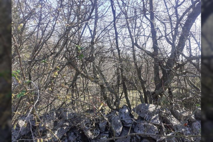 Poljoprivredno zemljište, Prodaja, Vrbnik, Garica Poljoprivredno zemljište, Prodaja, Vrbnik, Garica