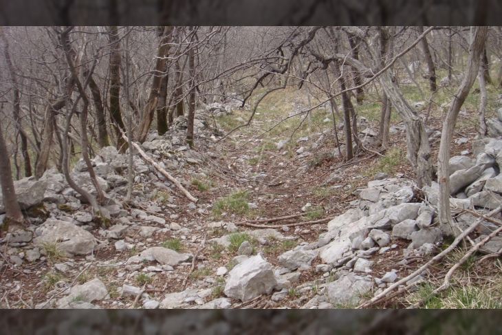 Poljoprivredno zemljište, Prodaja, Jelenje, Podhum