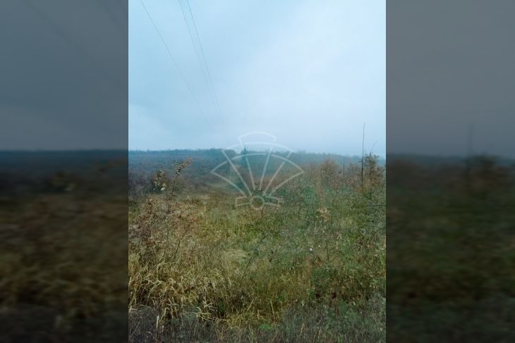 Poljoprivredno zemljište, Prodaja, Višnjan, Bačva Poljoprivredno zemljište, Prodaja, Višnjan, Bačva