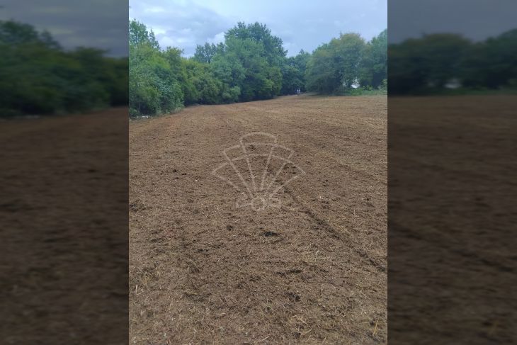 Građevinsko stambeno zemljište, Prodaja, Višnjan, Višnjan