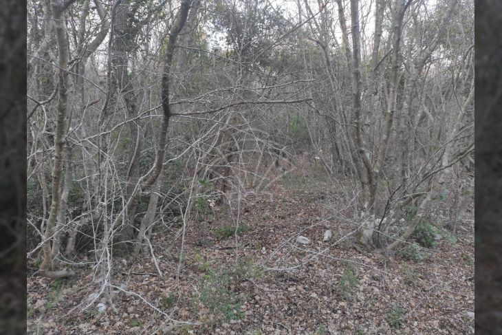 Zemljište - ostalo, Prodaja, Marčana, Peruški Zemljište - ostalo, Prodaja, Marčana, Peruški