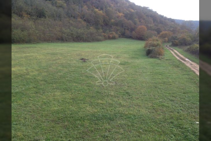 Poljoprivredno zemljište, Prodaja, Kanfanar, Kanfanar