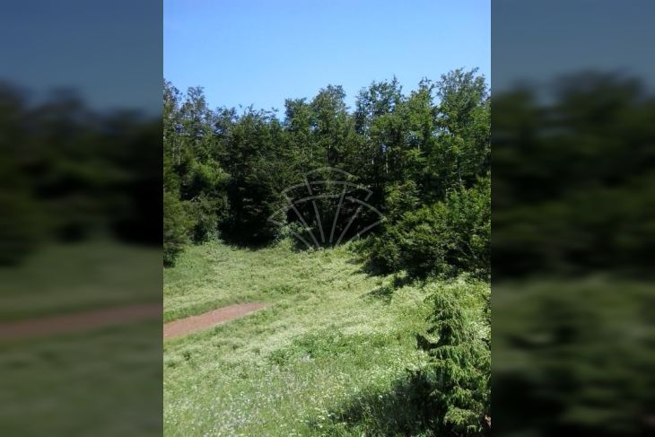 Građevinsko zemljište, Prodaja, Bakar, Zlobin