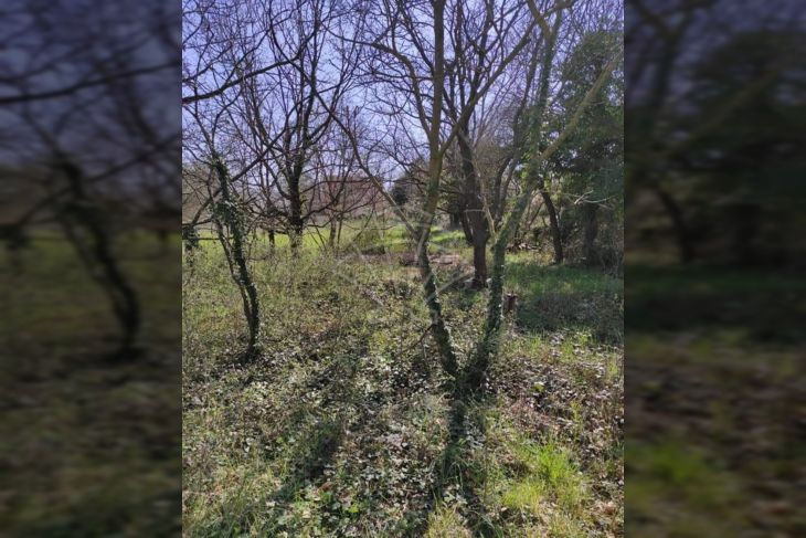 Građevinsko mješovito, Prodaja, Pula, Pula Građevinsko mješovito, Prodaja, Pula, Pula