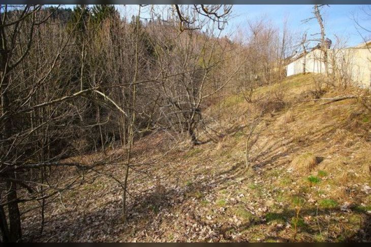 Građevinsko zemljište, Prodaja, Čabar, Tršće Građevinsko zemljište, Prodaja, Čabar, Tršće