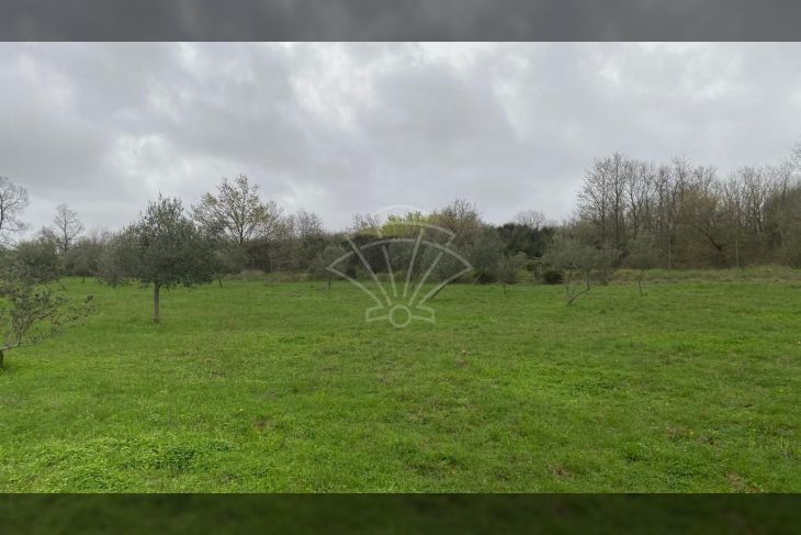 Poljoprivredno zemljište, Prodaja, Kanfanar, Jural