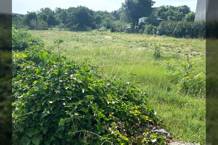 Građevinsko zemljište, Prodaja, Marčana, Kavran