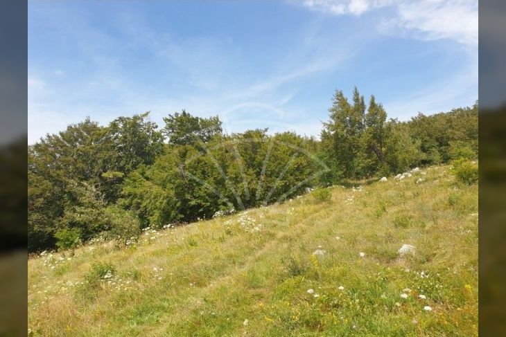 Poljoprivredno zemljište, Prodaja, Bakar, Hreljin Poljoprivredno zemljište, Prodaja, Bakar, Hreljin