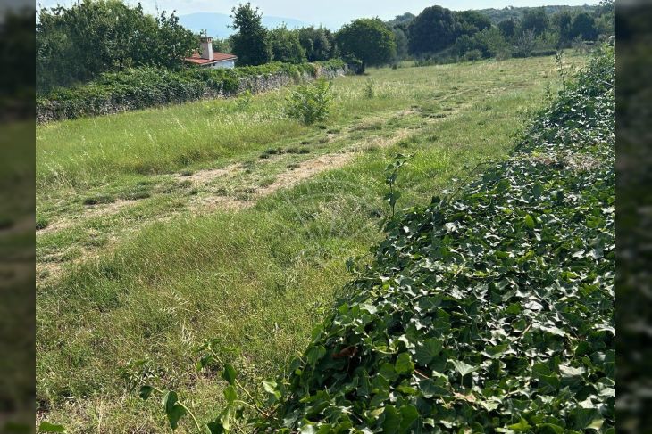 Građevinsko zemljište, Prodaja, Marčana, Kavran