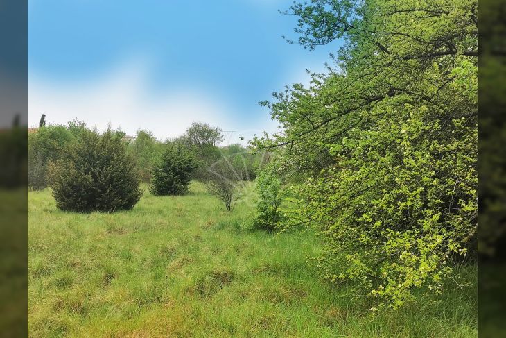 Građevinsko zemljište, Prodaja, Marčana, Loborika Građevinsko zemljište, Prodaja, Marčana, Loborika