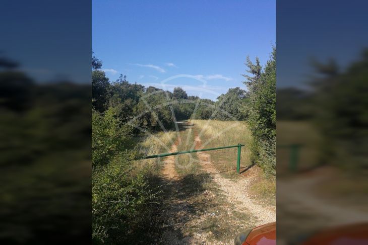 Poljoprivredno zemljište, Najam, Vodnjan, Peroj Poljoprivredno zemljište, Najam, Vodnjan, Peroj