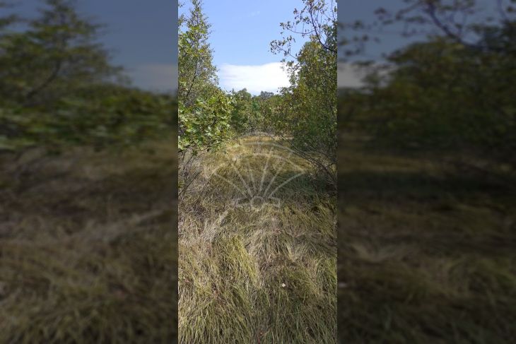 Građevinsko zemljište, Prodaja, Kostrena, Plešići