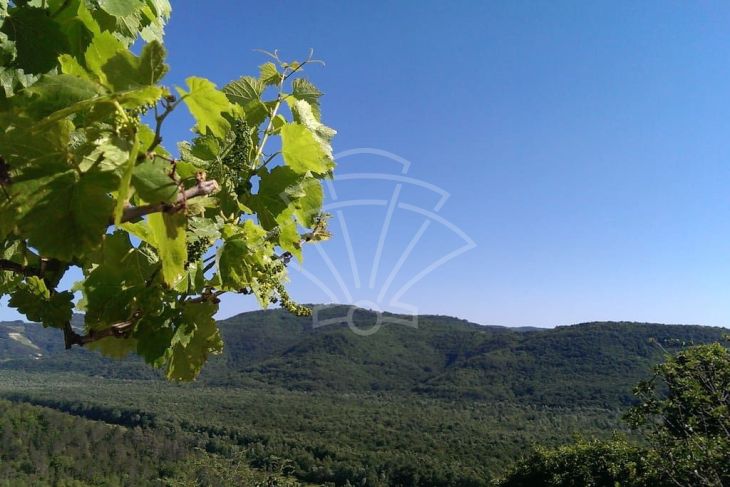 Samostojeća kuća, Prodaja, Buzet, Bartolići Samostojeća kuća, Prodaja, Buzet, Bartolići