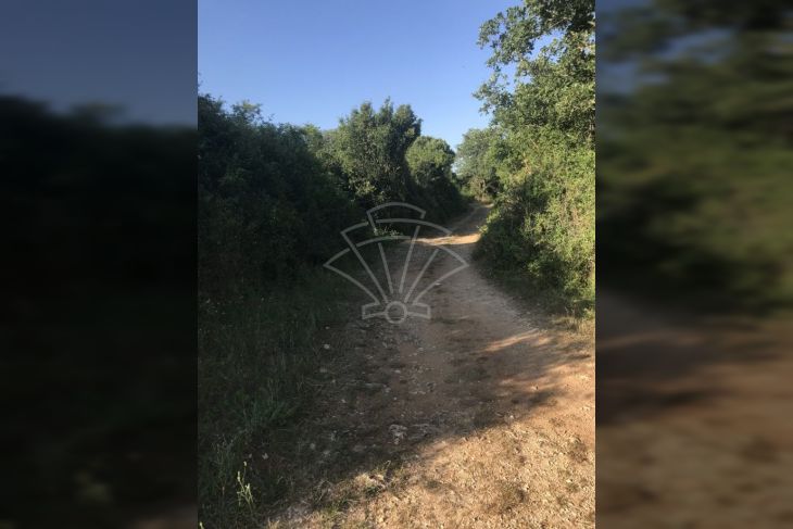 Građevinsko zemljište, Prodaja, Barban, Manjadvorci