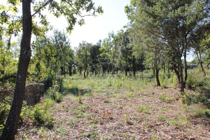 Građevinsko zemljište, Prodaja, Marčana, Rakalj Građevinsko zemljište, Prodaja, Marčana, Rakalj