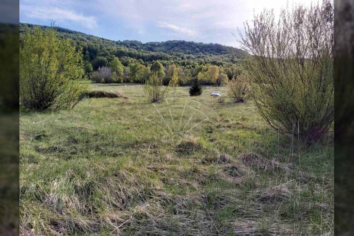 Građevinsko mješovito, Prodaja, Delnice, Zalesina Građevinsko mješovito, Prodaja, Delnice, Zalesina