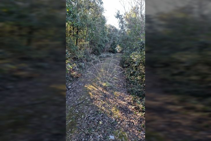 Poljoprivredno zemljište, Prodaja, Marčana, Kavran Poljoprivredno zemljište, Prodaja, Marčana, Kavran