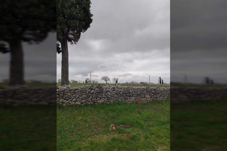 Poljoprivredno zemljište, Prodaja, Barban, Barban Poljoprivredno zemljište, Prodaja, Barban, Barban